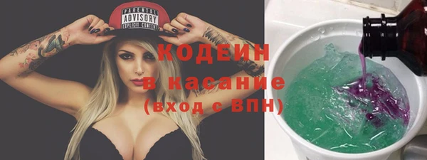 индика Алзамай