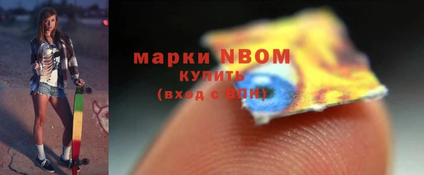 индика Алзамай