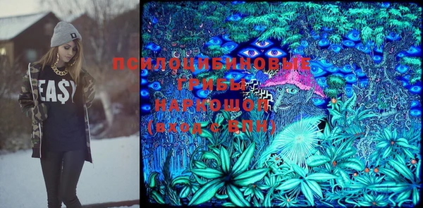 индика Алзамай