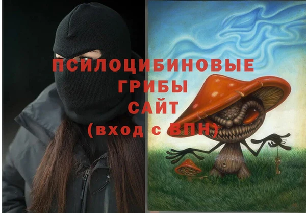 синтетический гашиш Алексин