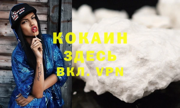 индика Алзамай